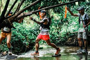 BIB: 
                            <button type="button" onclick="openModal(25270233)" class="btn btn-primary btn-sm float-right btn-popup" data-toggle="modal" data-target=".modal-high-quality">
                        <i class="fas fa-shopping-cart"></i> Add to Cart
                    </button>
                                            <button type="button" onclick="isThisMe(25270233, true)" class="btn btn-success btn-sm float-right btn-popup btn-isme hidden" data-toggle="tooltip" data-placement="bottom" title="นี่คือรูปของคุณใช่ไหม คลิกที่นี่เพื่อเอาเข้าอัลบั้ม">
                        <i class="fas fa-plus"></i> Add to album
                    </button>
                    <button type="button" onclick="isThisMe(25270233, false)" class="btn btn-warning btn-sm float-right btn-popup btn-isnotme hidden">
                        <i class="fas fa-ban"></i> Remove from album
                    </button>